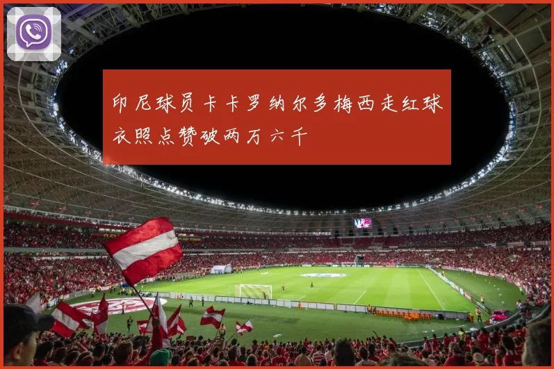 印尼球员卡卡罗纳尔多梅西走红球衣照点赞破两万六千